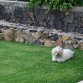 tomando el sol.