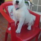 me gusta esta silla