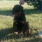 Con tres meses