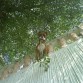 Titan 8 meses