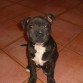 aqui ta con 4 meses, jajaja.