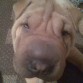 que carita...