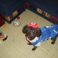 Lolita con su bolsa de juguetes (bueno son de ella y su hermana cuca) y su gorro de su equipo de futbol