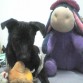 jugando con sus peluchitos
