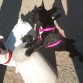 tomando el sol