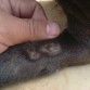 con esta lesion empezo 
