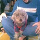 Se busca: par de rockeros, ambos peludos uno muy animal, el otro no tanto...
