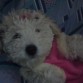 regaloneando con mis papis
