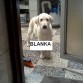 A los 2 1/2 meses recien llegando a la familia