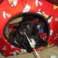 mi perrito shadow