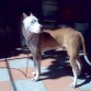 a los 6 meses