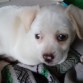 RUFFY, aún sin mirar a la cámara, es todo un hermoso nene. lindo mi bebito.
