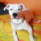 10 meses =)