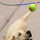 primer plano :) de mi bebe jugando con su pelota!