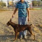 aqui coco y yo paseando