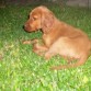 Ella es la principeza de la casa!