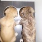 Lucky y Lola
