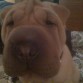 pero q guapo soyyy