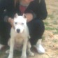 qe postura