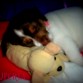 Durmiendo con su hermanito teddy!