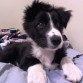 Alden en Noviembre 2012