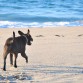 La playa me encanta, pero soy mas de arena que de agua, me gusta mojarme pero sólo hasta el pecho.