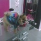 con su nuevo abrigo