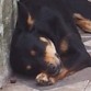bomboncita durmiendo!!