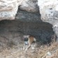 A la sombra en una cueva