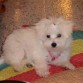 mi kuki bonita!!!!