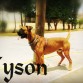 My bebé tyson con 11 meses..!