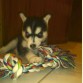estoy jugando ^_^