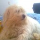 EN LA CAMA DE MI MAMITA!!!