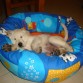 Durmiendo.