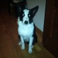 Zack recien salido de su baño!