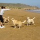 Lola, mamá Mora y hermano Larson... de playita..