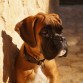 Tomando el sol en el mas