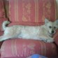 ahi esta acostada en su lugar reservado del sofa jeje