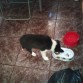 En casa con dos meses