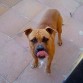 Con la lengua fuera!! xD