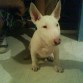 2 Meses