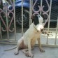 5 meses