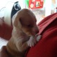 Acabada de despertar en brazos de la abuelita!