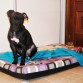 4 meses