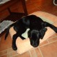 Pegándose una buena siesta, jeje
