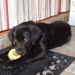 MI PRECIOSA CACHORRITA