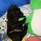 primeras siestas