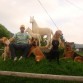 ENTRE MAS CONOZCO AL HOMBRE MAS QUIERO A MI PERRO