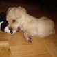 Auryn con su muñequito