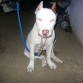6 meses